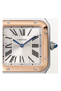 Santos-Dumont, Small Model