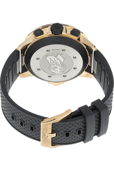 Aquatimer Chronograph Expedition Charles Darwin Bronze