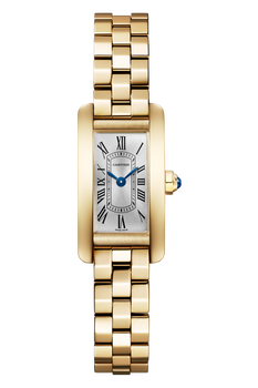 Tank Am&eacute;ricaine, Mini Model