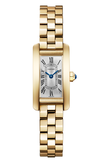 Tank Am&eacute;ricaine, Mini Model