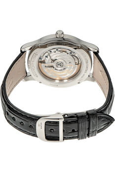 Master Control Stainless Steel Automatic