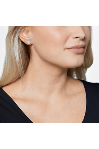 B Dimension Earrings