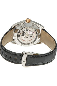 Seamaster Aqua Terra Co-Axial Rose Gold and Stainless Steel Automatic