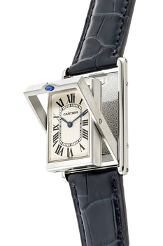 Tank Basculante Stainless Steel Manual