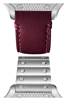 Santos de Cartier Steel Paved, Medium Model