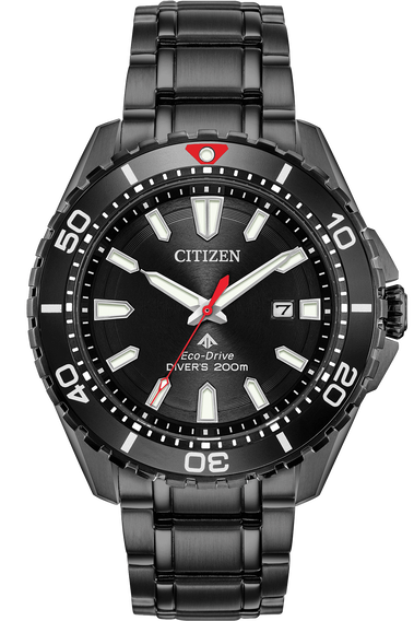 Promaster Diver