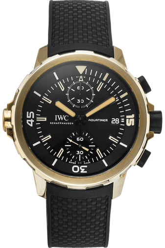 Aquatimer Chronograph Expedition Charles Darwin Bronze Automatic