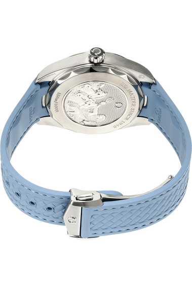 Seamaster Aqua Terra Stainless Steel Automatic