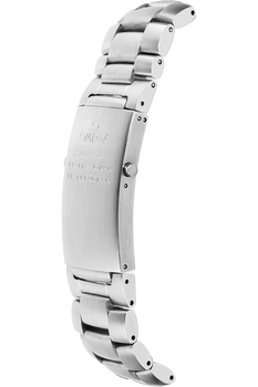 Seamaster Planet Ocean Big Size Stainless Steel Automatic
