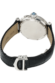 Pasha C Meridian Stainless Steel Automatic