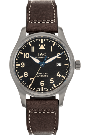 Iwc mark xviii titanium deals