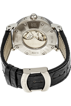 Arena Bi-Retro White Gold and Titanium Automatic