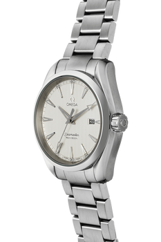 Seamaster Aqua Terra Stainless Steel Quartz