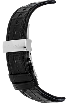 Assioma Stainless Steel Automatic