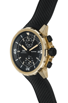 Aquatimer Chronograph Expedition Charles Darwin Bronze Automatic