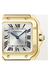 Santos de Cartier