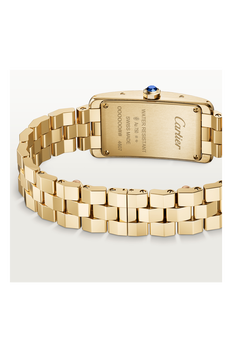 Tank Am&eacute;ricaine, Small Model