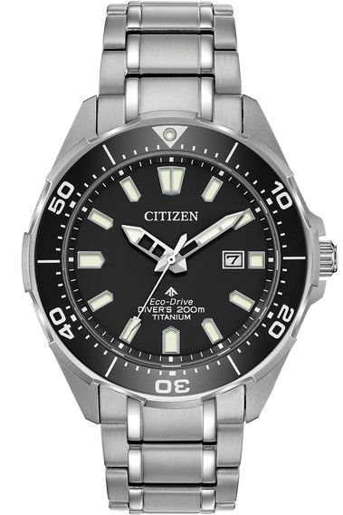 Promaster Diver