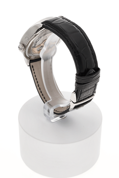 Master Control Geographic Stainless Steel Automatic