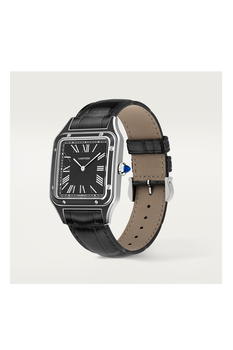 Santos-Dumont, Large Model