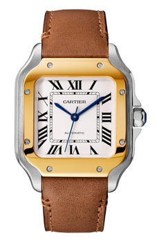 Cartier Santos de Cartier (W2SA0016) Cartier Santos de Cartier (W2SA0016)