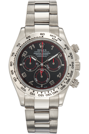 Daytona White Gold Automatic
