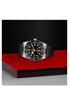 Black Bay 54
