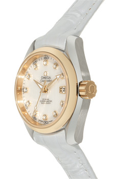 Seamaster Aqua Terra Co-Axial Yellow Gold and Stainless Steel Automatic