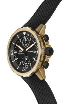 Aquatimer Chronograph Expedition Charles Darwin Bronze Automatic