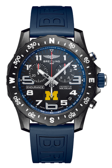 Endurance Pro University of Michigan