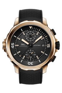 Aquatimer Chronograph Edition Expedition Charles Darwin
