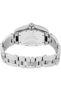 Roadster Stainless Steel Automatic