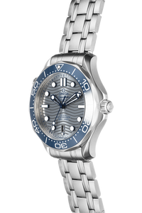Seamaster Diver 300M Stainless Steel Automatic