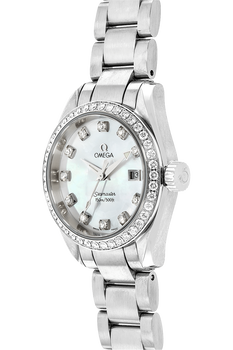 Seamaster Aqua Terra Stainless Steel Quartz
