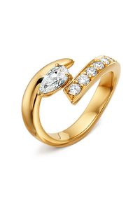 Inner Fire Ring