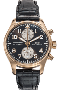 Pilot's Antoine De Saint Exupery Limited Edition Rose Gold Automatic