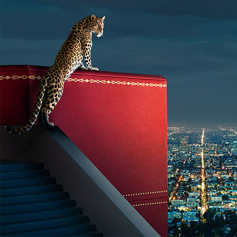 cartier authorized dealer