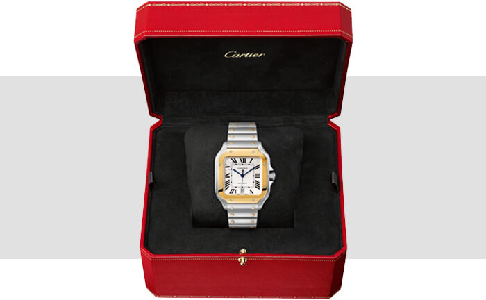 Cartier Panthere de Cartier Small 