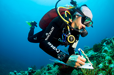 Oceana – Project Alacranes