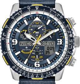 Authorized citizen watch dealer sales