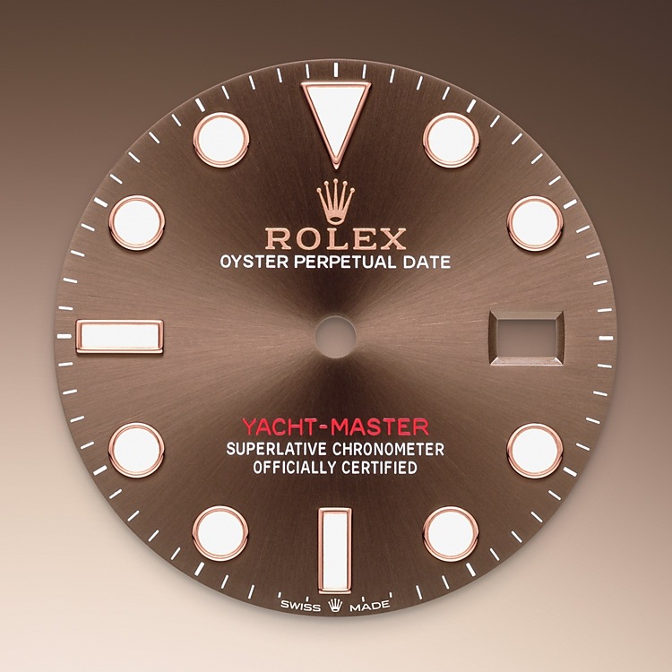 Rolex Yacht Master in Everose Rolesor combination of Oystersteel
