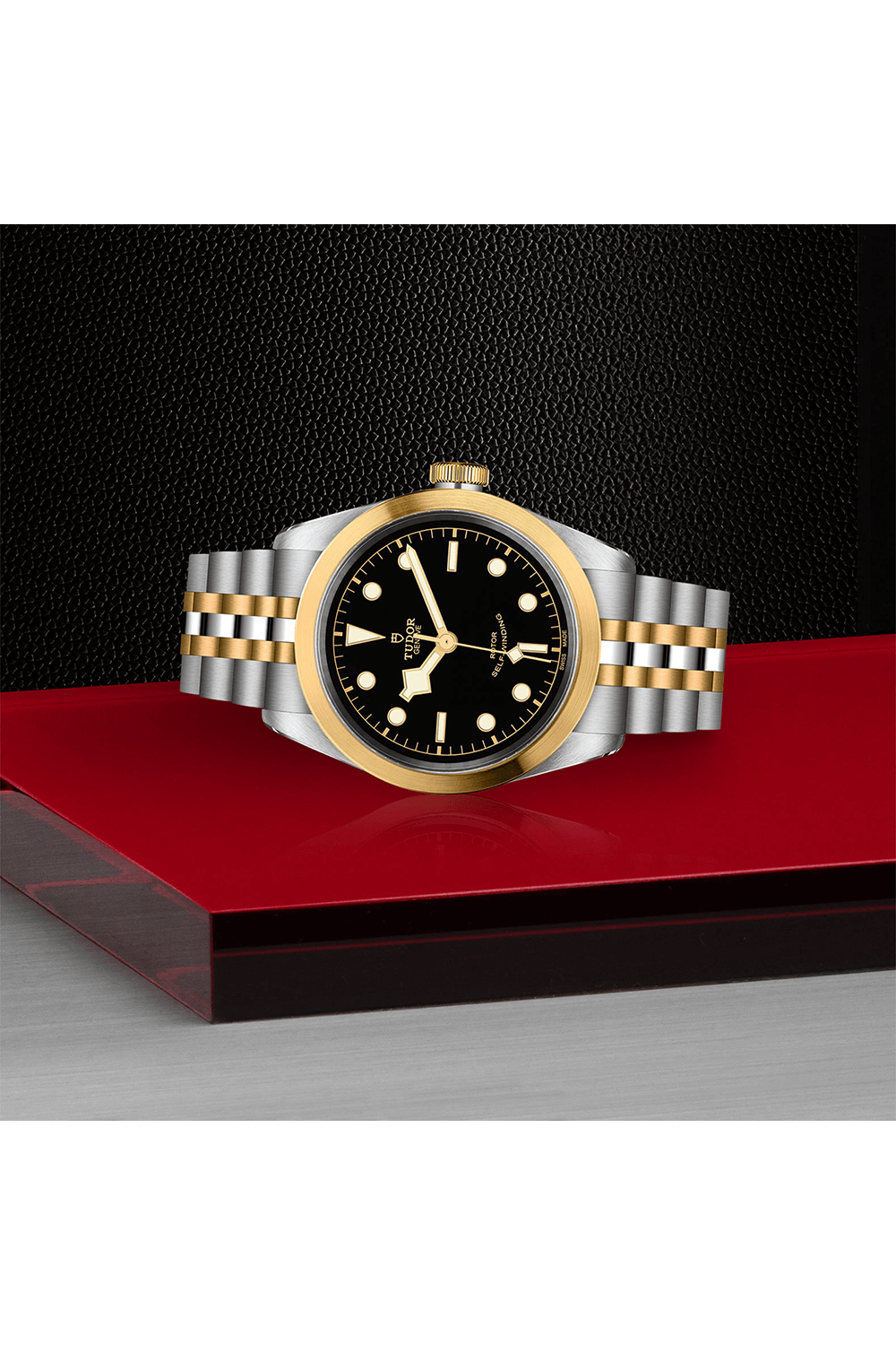 TUDOR Black Bay 41 S&G #M79543-0001 [Official Retailer]