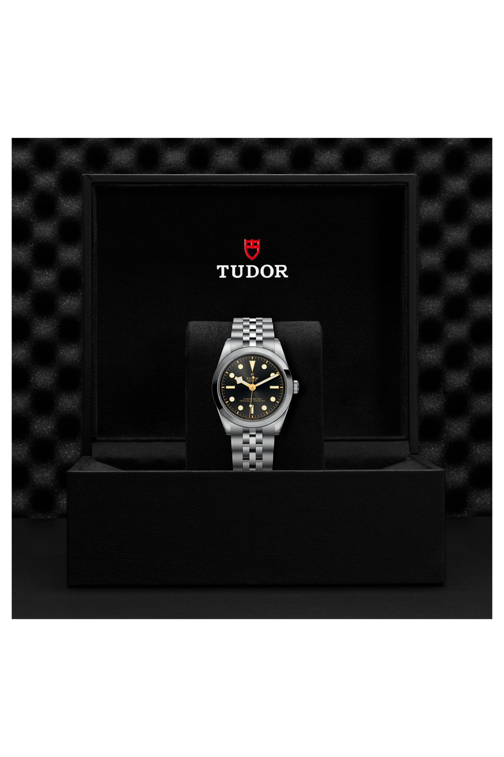 TUDOR Black Bay One 36 (M79640-0001)