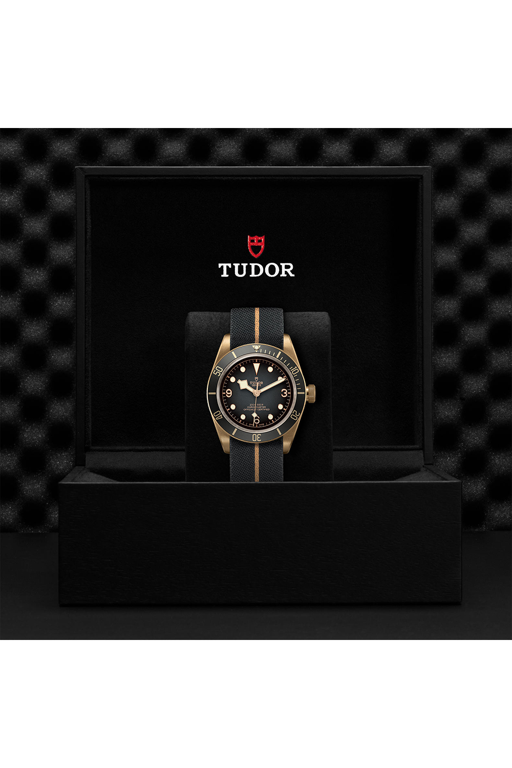 TUDOR Black Bay Bronze #M79250BA-0002 [Official Retailer]