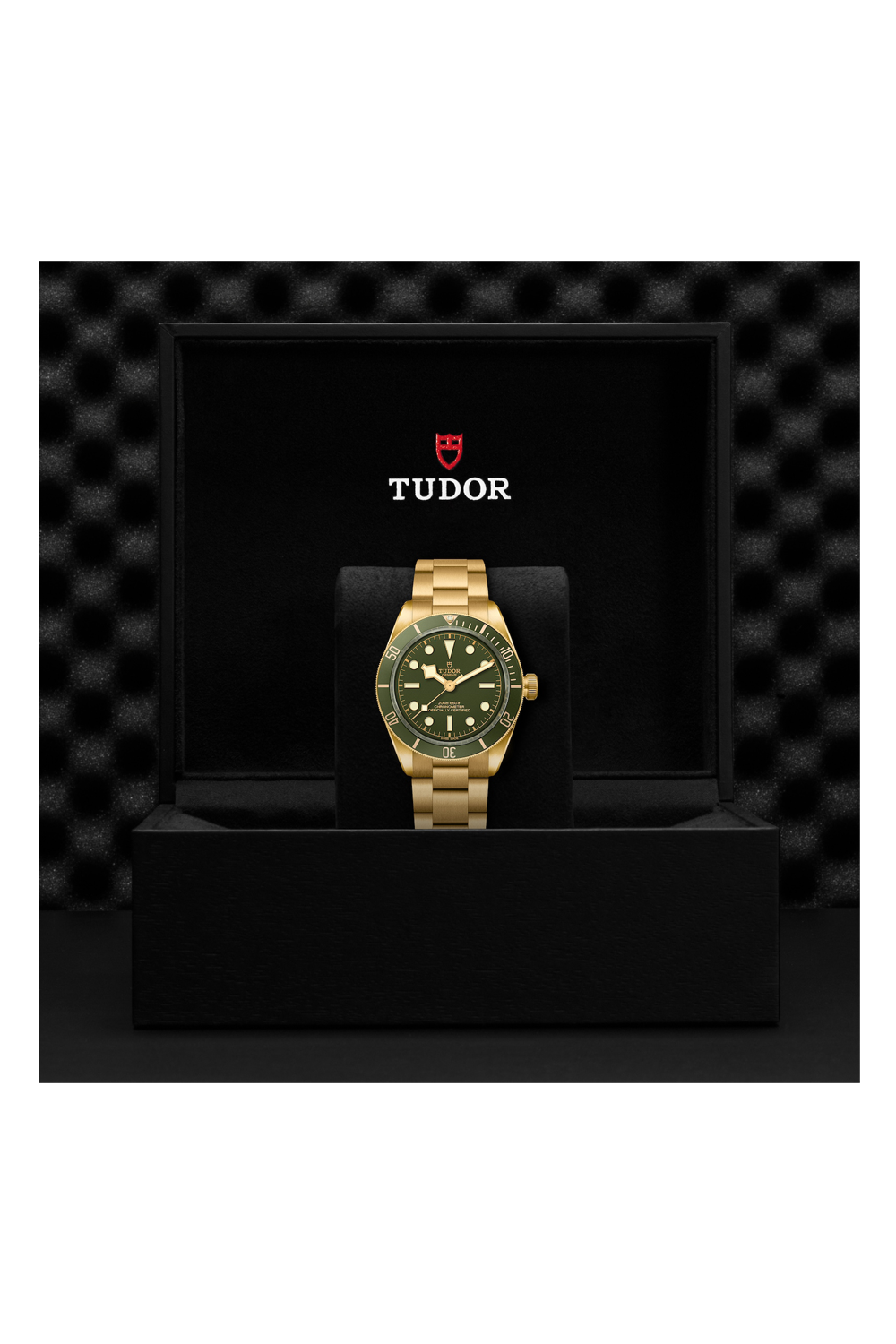 m79018v-0006-tudor-black-bay-