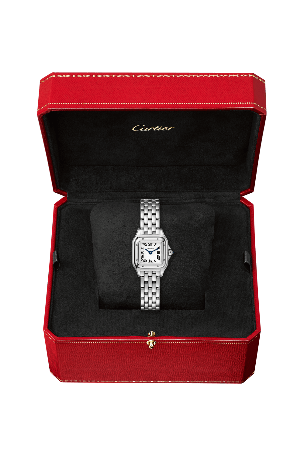 wspn0019-cartier-panthere-de-