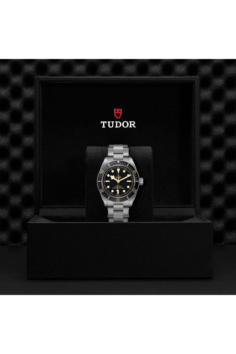 Boo Mr. 　TUDOR ブラックベイ58 TUDOR Black Bay 58 GMT M7939G1A0NRU-0001