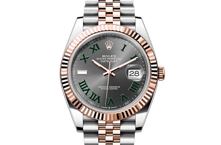 Rolex datejust 41 everose gold price top