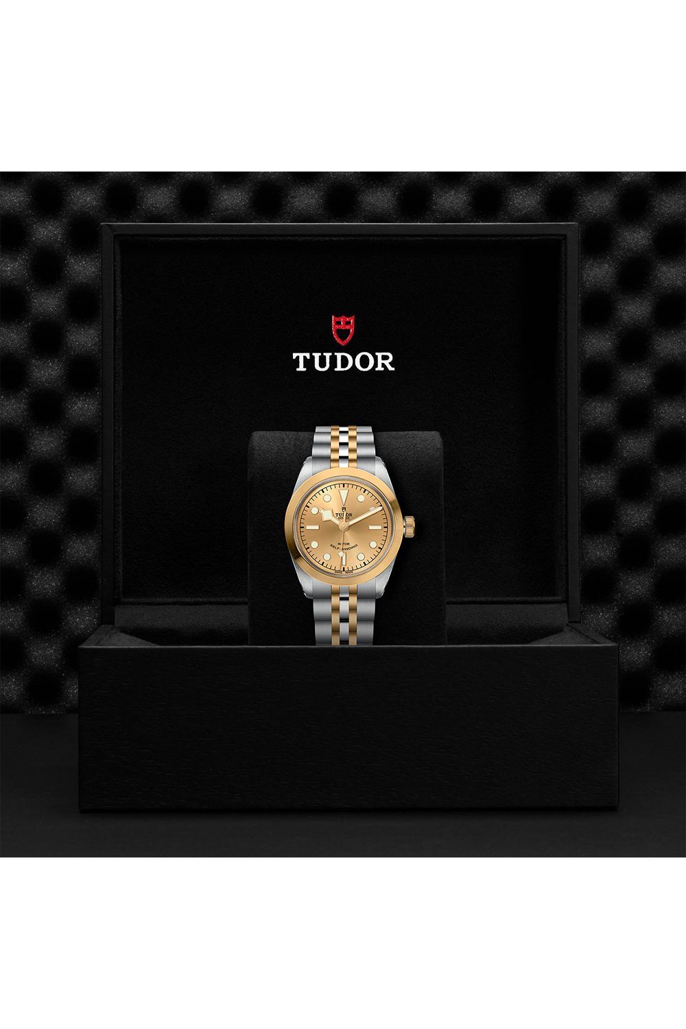 TUDOR Black Bay 36 S&G #M79543-0002 [Official Retailer]