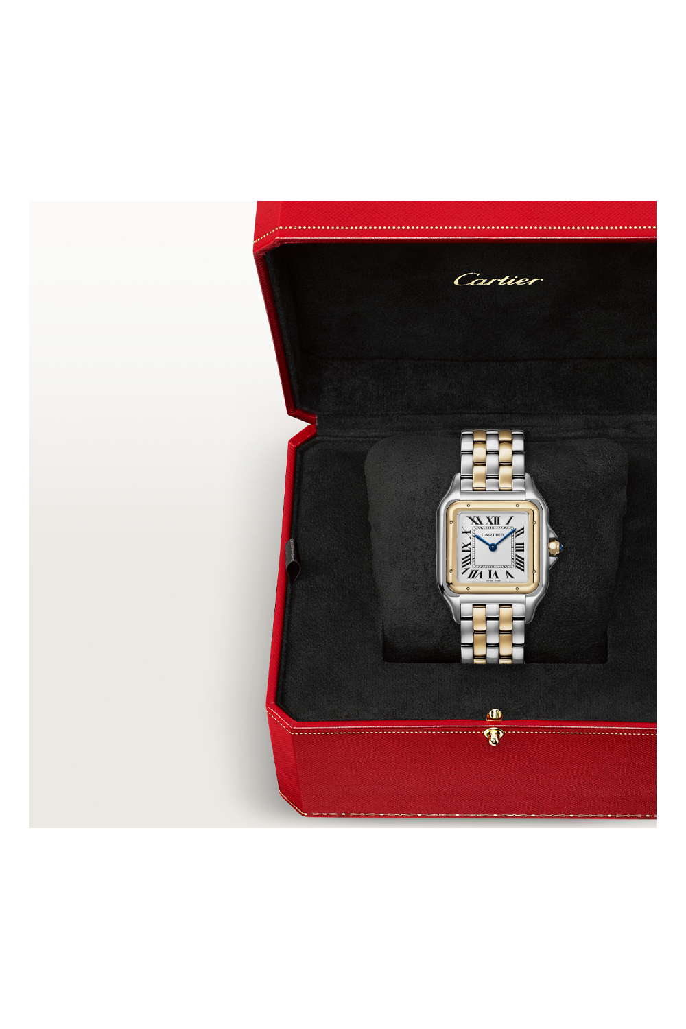 w2pn0016-cartier-panthere-de-